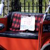 Are Pedicabs Overcharging?